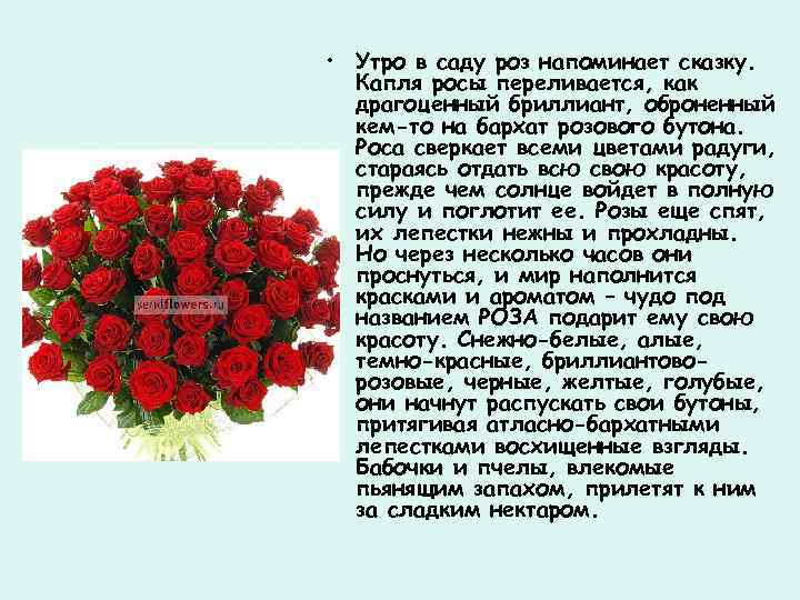  • Утро в саду роз напоминает сказку. Капля росы переливается, как драгоценный бриллиант,