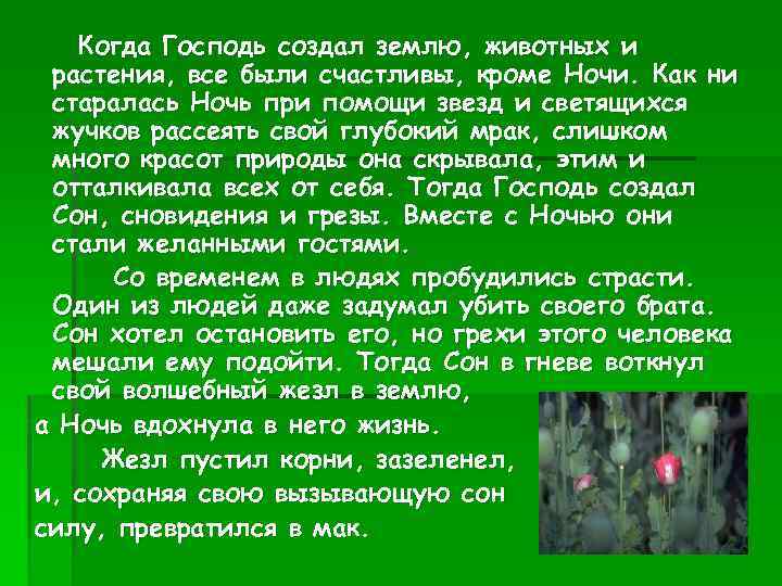 Когда Господь создал землю, животных и растения, все были счастливы, кроме Ночи. Как ни
