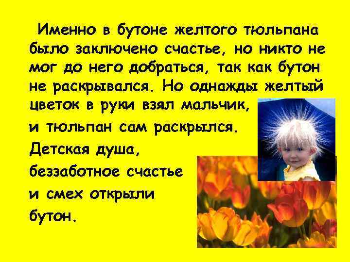Именно в бутоне желтого тюльпана было заключено счастье, но никто не мог до него