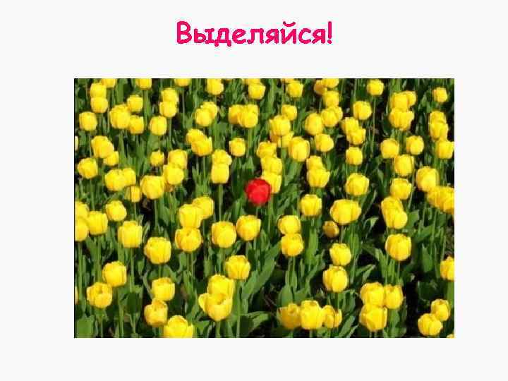 Выделяйся! 