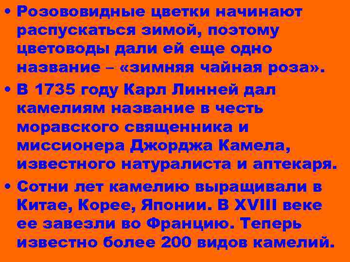  • Розововидные цветки начинают распускаться зимой, поэтому цветоводы дали ей еще одно название