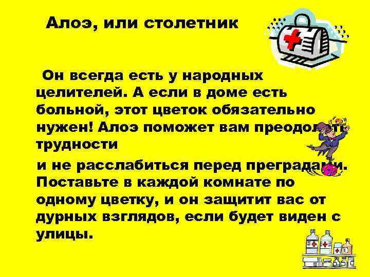 Алоэ, или столетник Он всегда есть у народных целителей. А если в доме есть