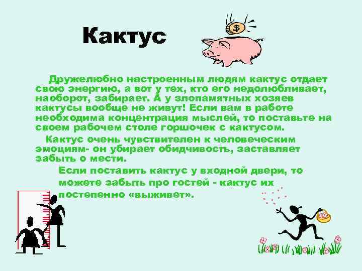 Кактус Дружелюбно настроенным людям кактус отдает свою энергию, а вот у тех, кто его