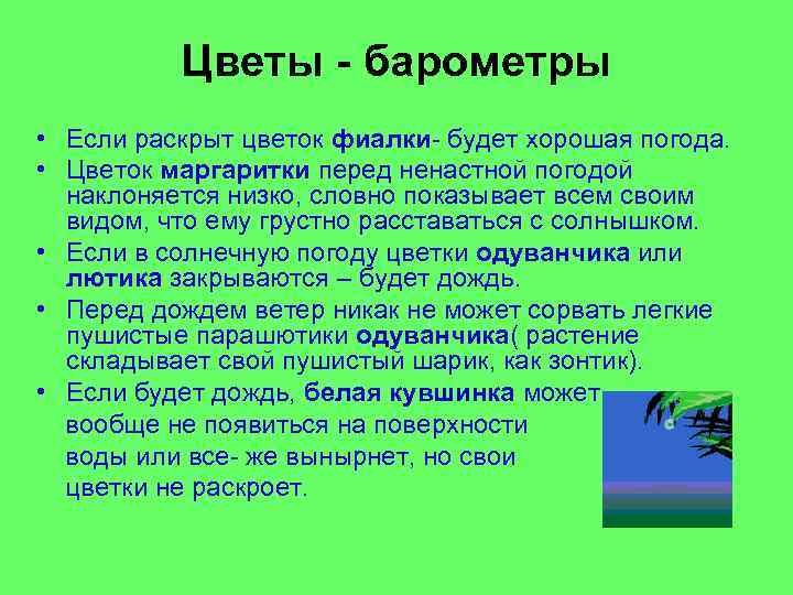 Цветы - барометры • Если раскрыт цветок фиалки- будет хорошая погода. • Цветок маргаритки