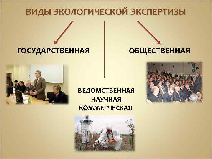 Общественный доклад