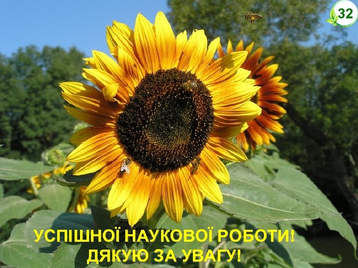 32 УСПІШНОЇ НАУКОВОЇ РОБОТИ! ДЯКУЮ ЗА УВАГУ! 