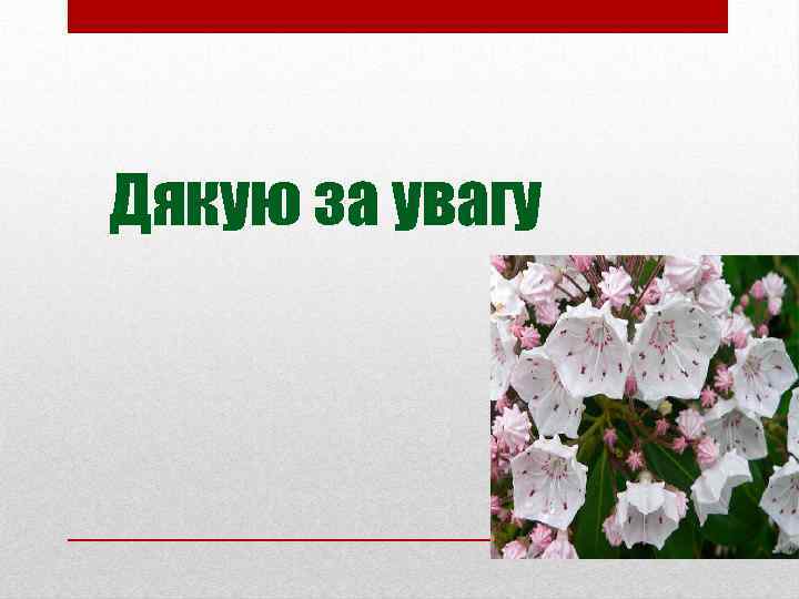 Дякую за увагу 