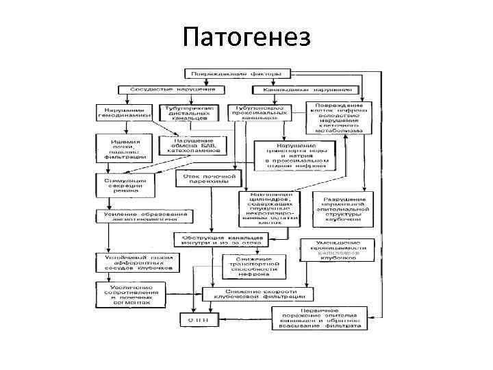 Патогенез 