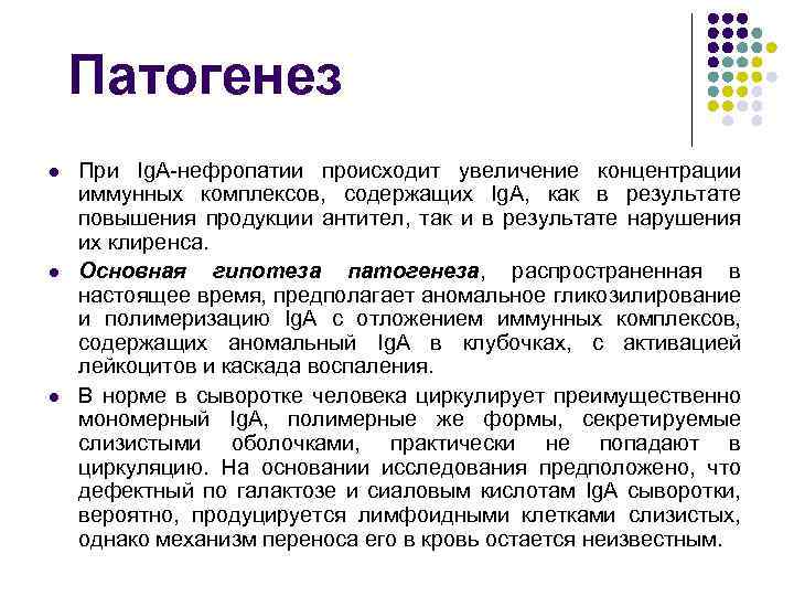 Патогенез l l l При Ig. A-нефропатии происходит увеличение концентрации иммунных комплексов, содержащих Ig.