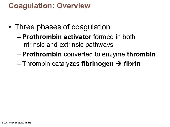 Coagulation: Overview • Three phases of coagulation – Prothrombin activator formed in both intrinsic