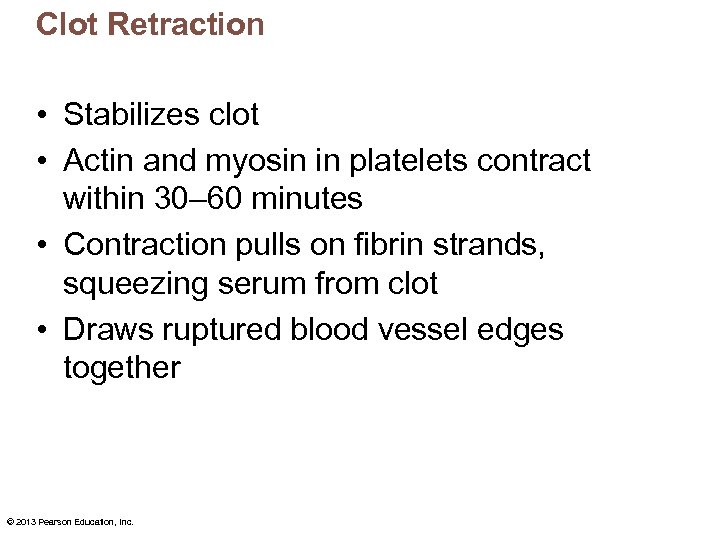 Clot Retraction • Stabilizes clot • Actin and myosin in platelets contract within 30–