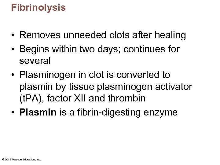 Fibrinolysis • Removes unneeded clots after healing • Begins within two days; continues for