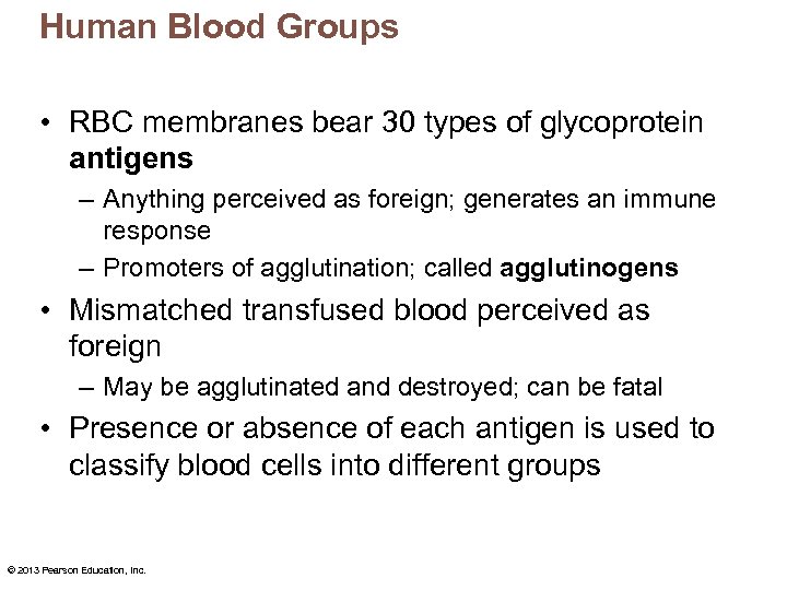 Human Blood Groups • RBC membranes bear 30 types of glycoprotein antigens – Anything