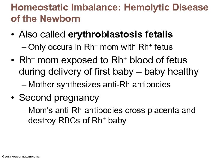 Homeostatic Imbalance: Hemolytic Disease of the Newborn • Also called erythroblastosis fetalis – Only