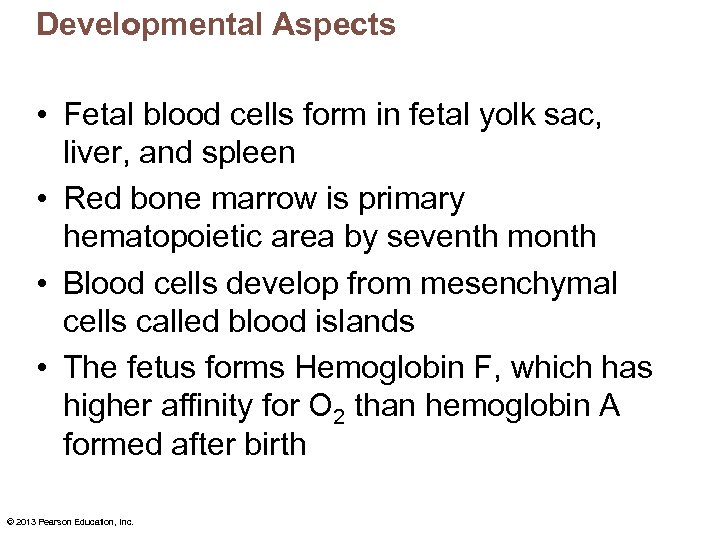 Developmental Aspects • Fetal blood cells form in fetal yolk sac, liver, and spleen