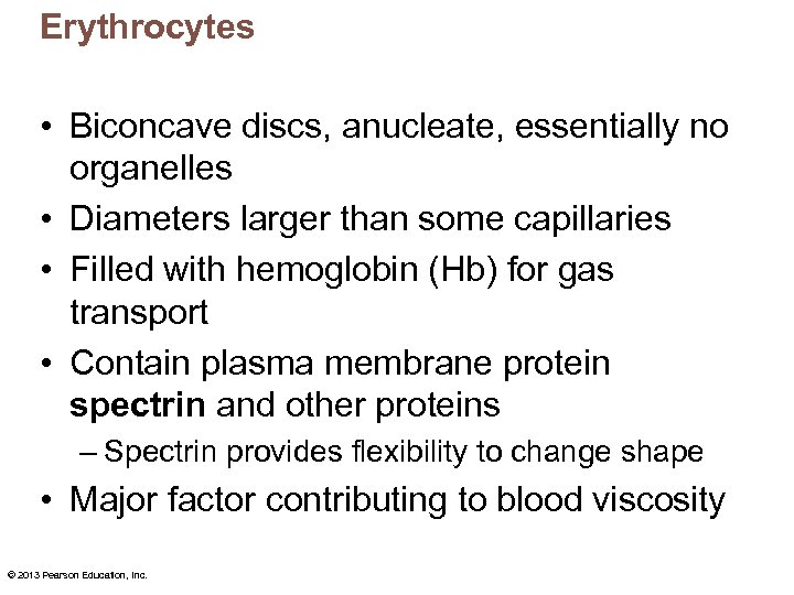 Erythrocytes • Biconcave discs, anucleate, essentially no organelles • Diameters larger than some capillaries