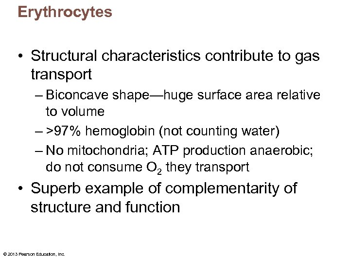 Erythrocytes • Structural characteristics contribute to gas transport – Biconcave shape—huge surface area relative