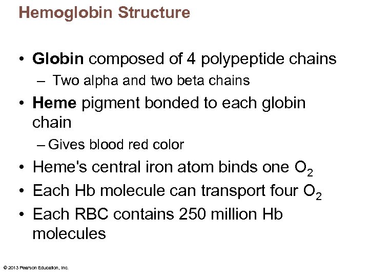 Hemoglobin Structure • Globin composed of 4 polypeptide chains – Two alpha and two