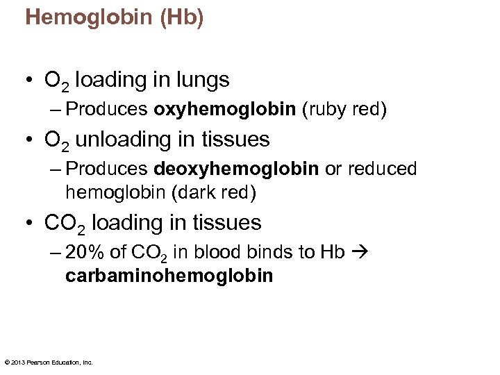 Hemoglobin (Hb) • O 2 loading in lungs – Produces oxyhemoglobin (ruby red) •