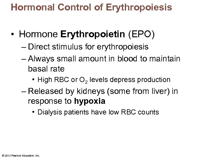 Hormonal Control of Erythropoiesis • Hormone Erythropoietin (EPO) – Direct stimulus for erythropoiesis –