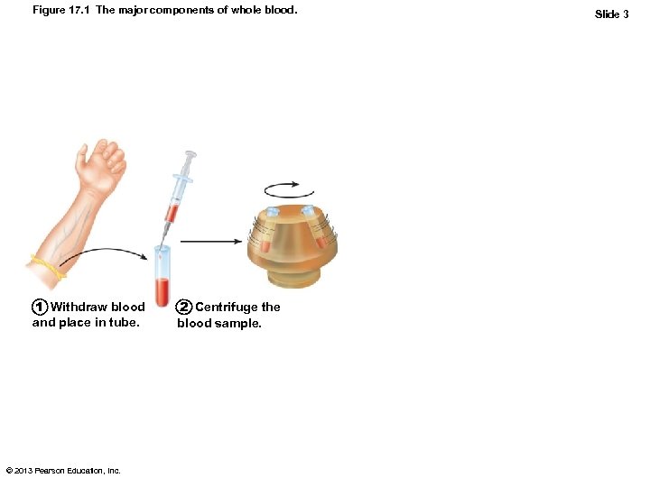 Figure 17. 1 The major components of whole blood. 1 Withdraw blood and place