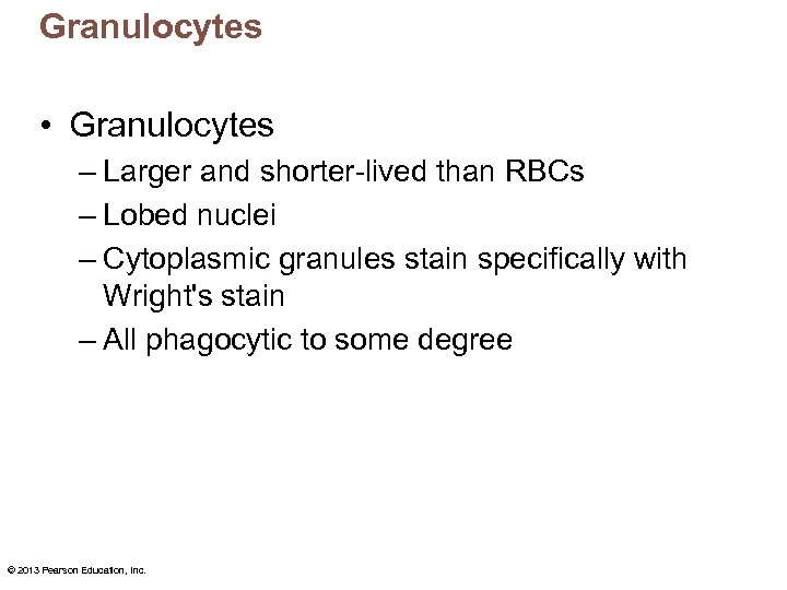 Granulocytes • Granulocytes – Larger and shorter-lived than RBCs – Lobed nuclei – Cytoplasmic