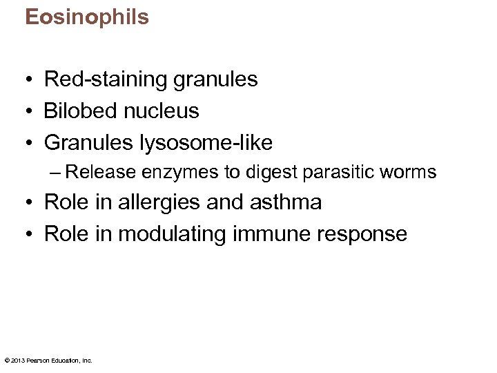 Eosinophils • Red-staining granules • Bilobed nucleus • Granules lysosome-like – Release enzymes to