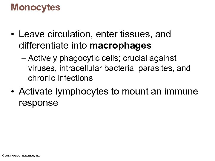 Monocytes • Leave circulation, enter tissues, and differentiate into macrophages – Actively phagocytic cells;