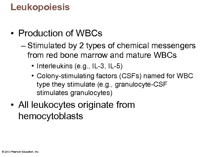 Leukopoiesis • Production of WBCs – Stimulated by 2 types of chemical messengers from