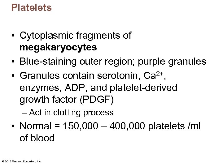 Platelets • Cytoplasmic fragments of megakaryocytes • Blue-staining outer region; purple granules • Granules