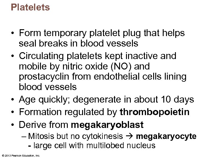 Platelets • Form temporary platelet plug that helps seal breaks in blood vessels •