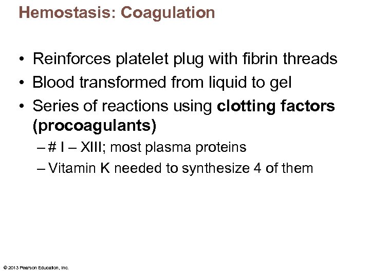 Hemostasis: Coagulation • Reinforces platelet plug with fibrin threads • Blood transformed from liquid