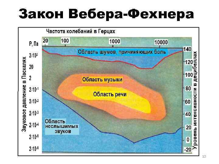 Закон Вебера-Фехнера 12 