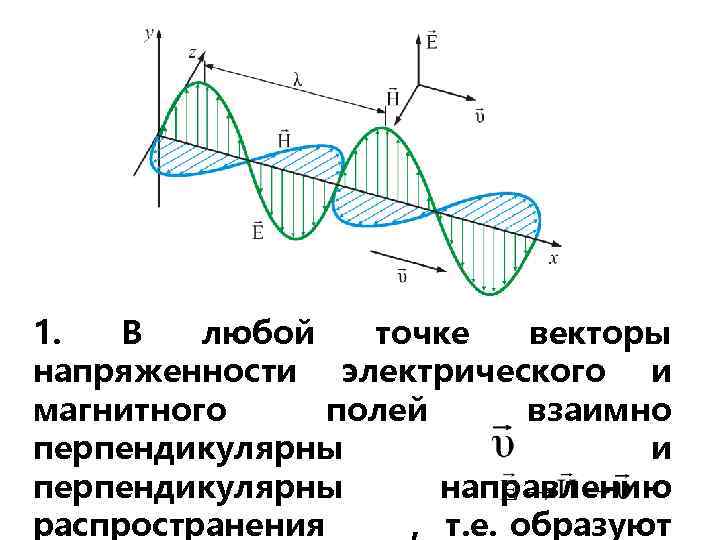 1. В любой точке векторы напряженности электрического и магнитного полей взаимно перпендикулярны и перпендикулярны
