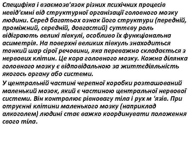 Специфіка і взаємозв'язок різних психічних процесів невід'ємні від структурної організації головного мозку людини. Серед