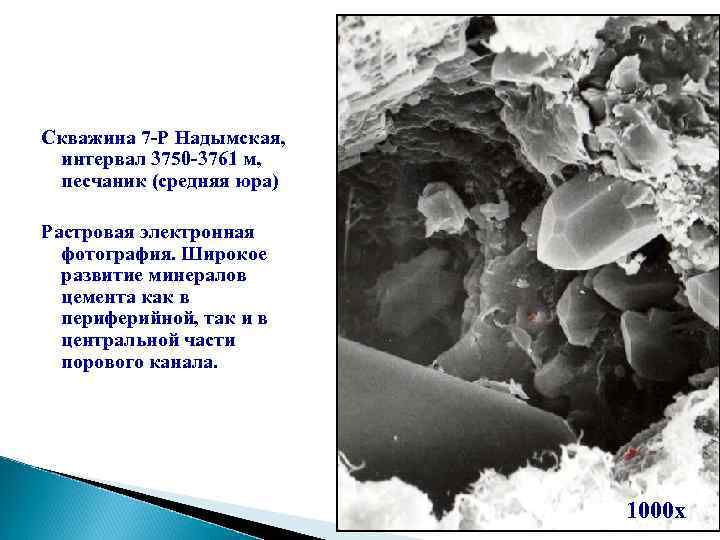 Скважина 7 -Р Надымская, интервал 3750 -3761 м, песчаник (средняя юра) Растровая электронная фотография.