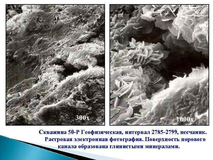 300 х 1000 х Скважина 50 -Р Геофизическая, интервал 2785 -2799, песчаник. Растровая электронная