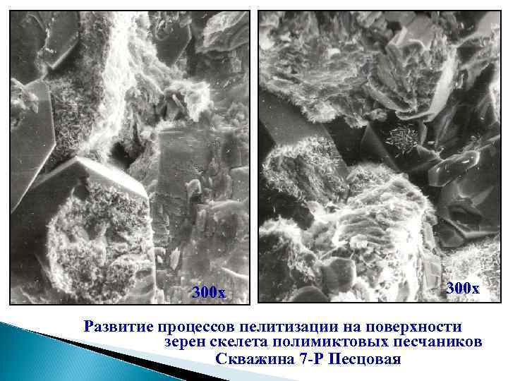 300 х Развитие процессов пелитизации на поверхности зерен скелета полимиктовых песчаников Скважина 7 -Р