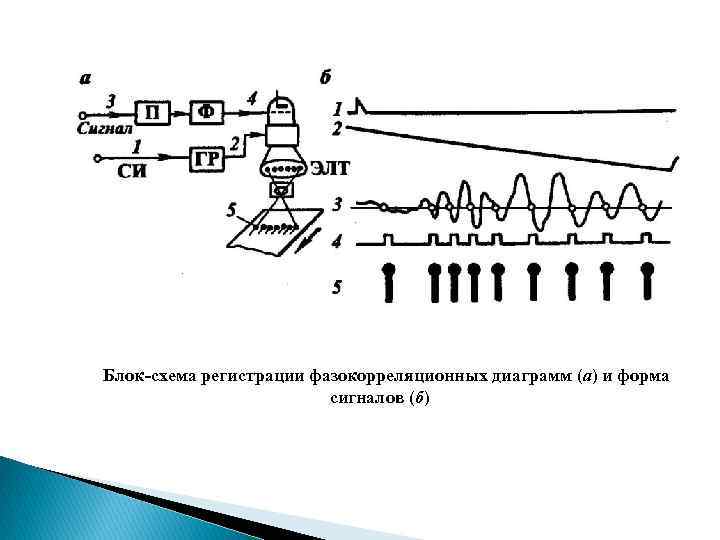 Блок-схема регистрации фазокорреляционных диаграмм (а) и форма сигналов (б) 