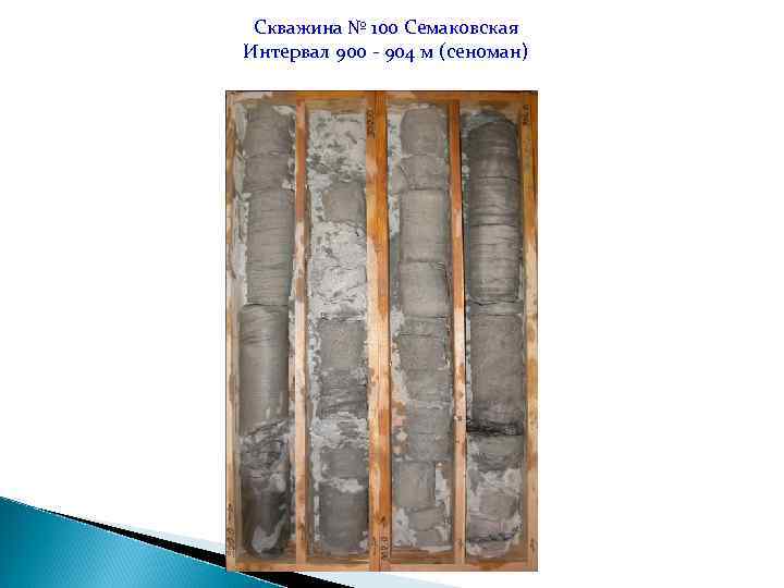 Скважина № 100 Семаковская Интервал 900 - 904 м (сеноман) 