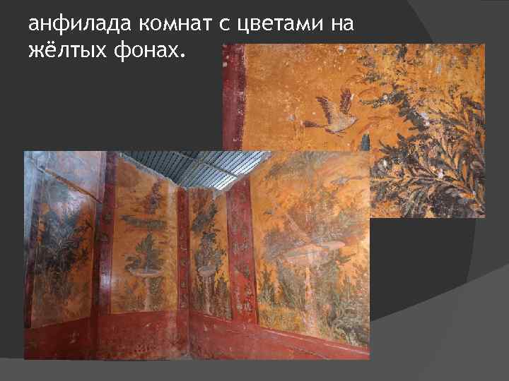 анфилада комнат с цветами на жёлтых фонах. 