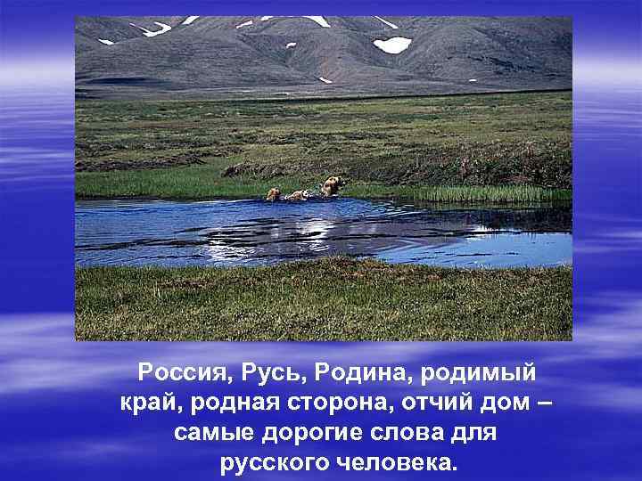 Россия, Русь, Родина, родимый край, родная сторона, отчий дом – самые дорогие слова для