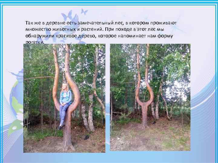 Так же в деревне есть замечательный лес, в котором проживают множество животных и растений.