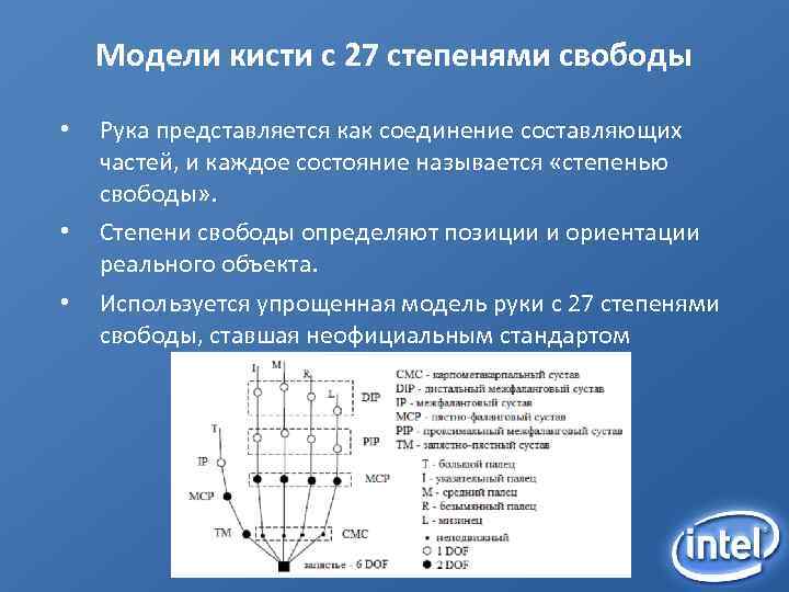 Модели кисти с 27 степенями свободы • • • Рука представляется как соединение составляющих