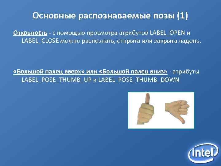 Основные распознаваемые позы (1) Открытость - с помощью просмотра атрибутов LABEL_OPEN и LABEL_CLOSE можно