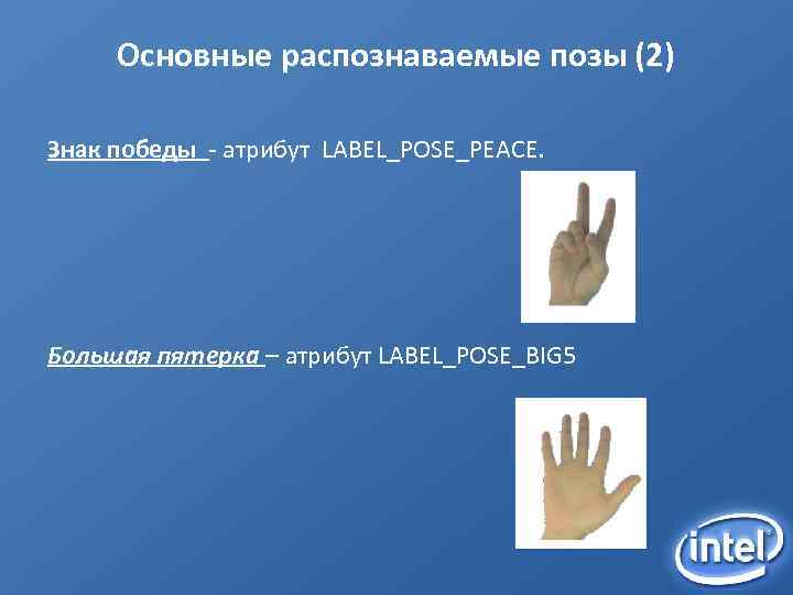 Основные распознаваемые позы (2) Знак победы - атрибут LABEL_POSE_PEACE. Большая пятерка – атрибут LABEL_POSE_BIG