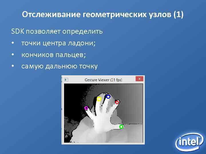 Отслеживание геометрических узлов (1) SDK позволяет определить • точки центра ладони; • кончиков пальцев;