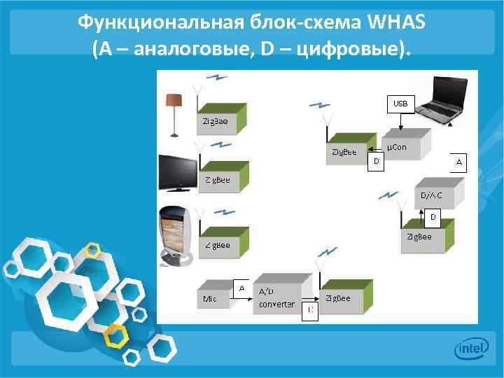 Функциональная блок-схема WHAS (A – аналоговые, D – цифровые). 