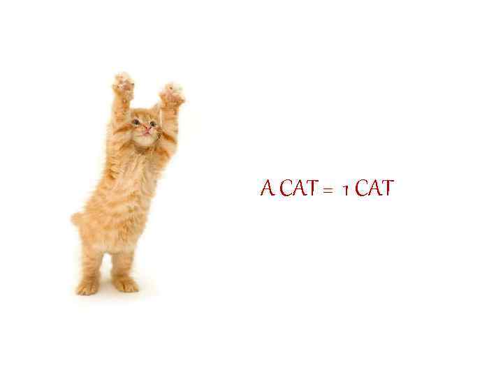 A CAT = 1 CAT 