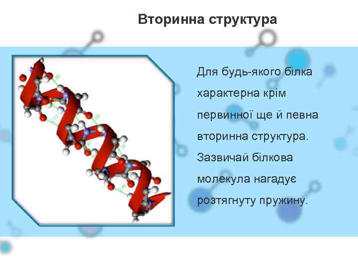 Вторинна структура Для будь-якого білка характерна крім первинної ще й певна вторинна структура. Зазвичай